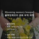 블루밍메모리 이미지