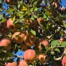 용궁사 주차장 이미지