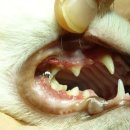 중동우리아이동물병원 이미지