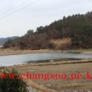 순천대물낚시 이미지