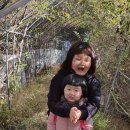 영선농장 이미지