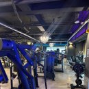 애니핏짐 | 모란헬스장 모란역헬스장 모란PT '찬스짐'