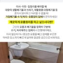 삼보익스프레스 이미지
