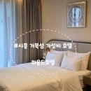 정수기비데프라자샘마을 | 거북섬점, 전객실 테라스 자쿠지 서울 근교 가성비 숙소 호캉스 내돈내산 후기(ft.시흥 써머비트 페스티벌)