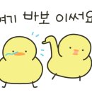 커피문화피크닉