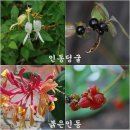 군청길 이미지