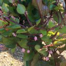 팔현2리 마을회관 이미지