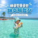 그늘막61 | 배곧한울공원해수체험장 아이랑 물놀이 후기｜주차 준비물 입장료 정리