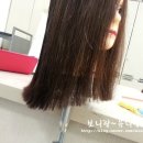 우리 가족 헤어 컷 이미지