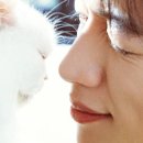 유 애 묘 이미지