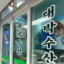 미숙이회수산 이미지