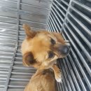 남북로이마트 이미지