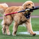 브루스인터내셔날 이미지