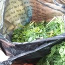 명품간식 이미지