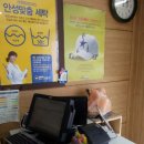 크린토피아남양주 이미지