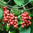 종점농장 이미지