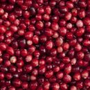 상큼 달콤 크랜베리 효능 꽃말 키우기 월동하는 방법 이미지