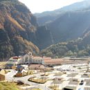 하이원추추파크 이미지