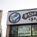 창촌초등학교 | 인성 교육과 예절 교육을 통해 건강해지는 도장 / 용인대 안산 타이거즈 태권도장