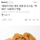 '흑돼지'라던 제주 유명 돈가스집, '백돼지' 사용하다 적발 이미지