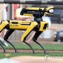 스팟 이미지
