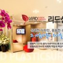 리드성형외과 네이버블로그