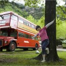 스타호텔 이미지