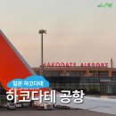 엠티브이20로12번길 | 일본 하코다테 여행 : 7C 1514, 하코다테 공항 가는 법 리무진 버스 면세점 필독 후기