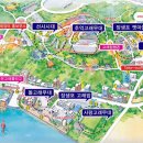 노리울 | 2015 울산고래축제