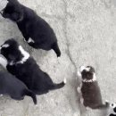 일명농장 이미지