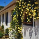 로스터리 연화 이미지