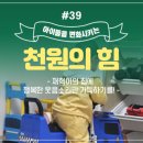 천원의 행복한 집