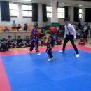 고려합기도 이미지