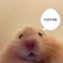 수성아트복싱클럽 상동점 이미지