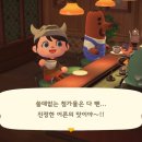 둥지까페 이미지