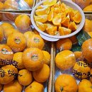 오늘청과2