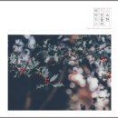 [모델] 션 오프리 (Sean O'pry | Sean Richard O'Pry).jpgif 이미지