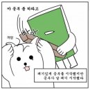 피씨샤프(PC SHARP) | 산업안전기사 실기 그리고 합격후기