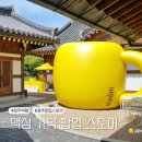 이리오소 | 경주 여행 핫플 맥심 가옥 팝업 스토어 가볼만한 곳 현지인 추천 후기