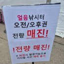 공작산계곡 오토캠핑장 | 홍천 캠핑장 추천 공작산계곡오토캠핑장