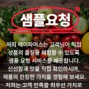 헤이파머스