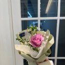 정도면 이미지