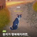강석농장 | 영화> 길 위의 뭉치 시사회 후기