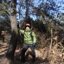 두송반도 이미지