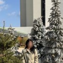 메이코트 | [메비] 메비 메이코트 피스타치오 0사이즈 후기 / 메비 쿠폰 세일 추천템