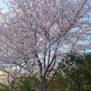 전라남도 농업박물관(외도) 이미지