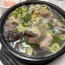 순천-23호 이미지