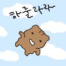 우아르스냅