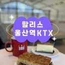 도호1길 | 울산역 커피 전문점 할리스 커피 :: 카공 카페 추천, 신상 베이컨 트러플 포카치아 후기