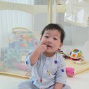 브레멘유치원 | 어린이날 선물추천 키즈위드 이야기시네마플러스 그림자극장